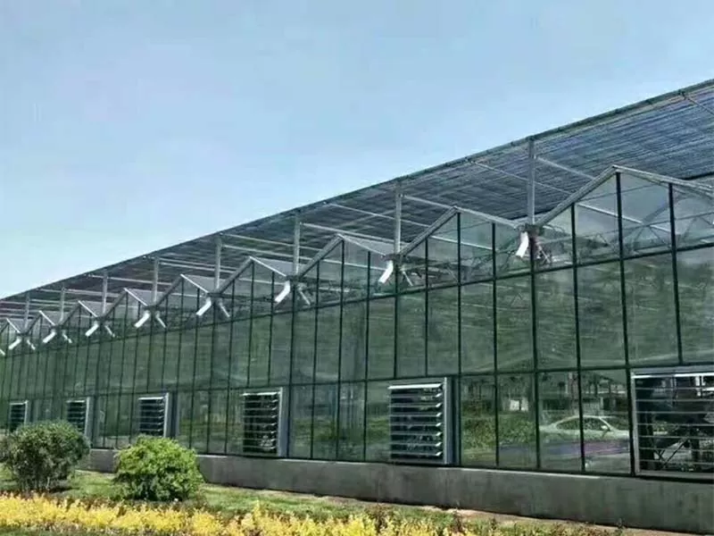 Ki sa ki fè Steel vètikal Farm lavni nan Agrikilti Dirab?