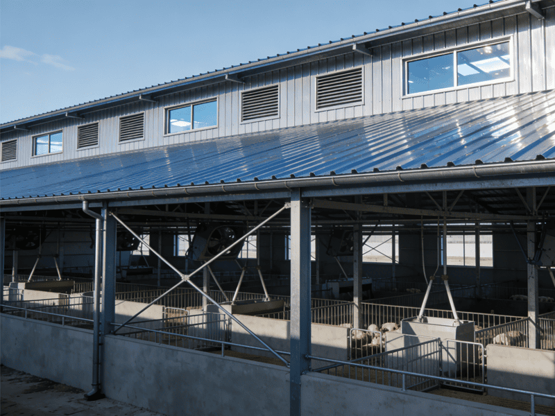 Ki sa ki fè yon Steel Frame Farm pi bon chwa pou Agrikilti modèn?